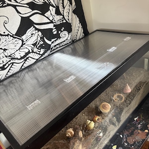 Dani added a photo of their purchase