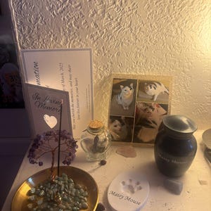 Jordyn added a photo of their purchase