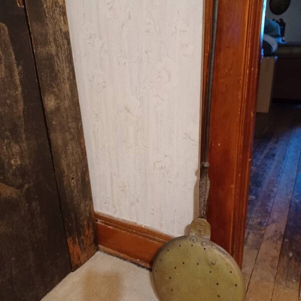 Shell Bits & Pieces Shards Beach Sand Tiny Little Shells for DIY Crafts ...