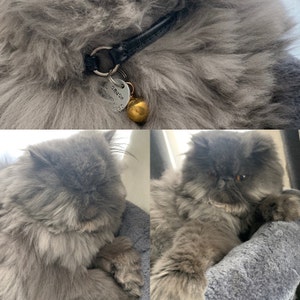 Isela added a photo of their purchase
