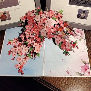 Steven a ajouté une photo de son achat