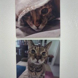 Jeff added a photo of their purchase