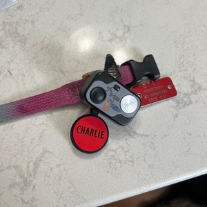 Taylor added a photo of their purchase