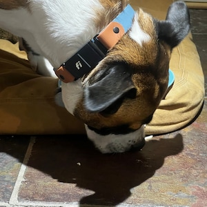 Elle added a photo of their purchase