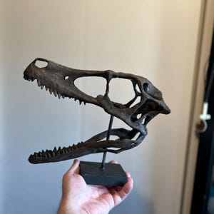David added a photo of their purchase