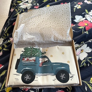 Pigeon Lady Home Alone 2 - Etsy