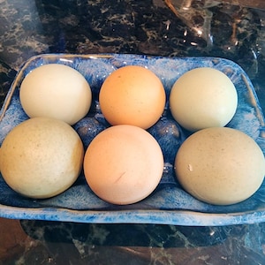 B. added a photo of their purchase