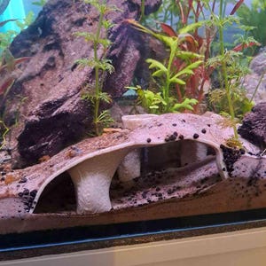 Mollie added a photo of their purchase