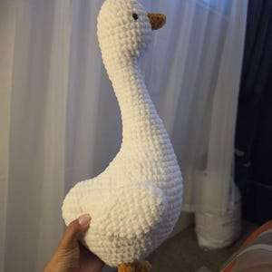 Yuridia added a photo of their purchase