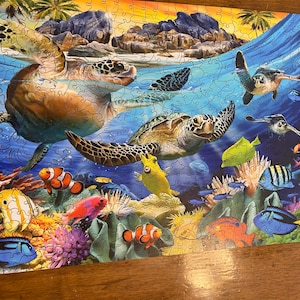 Anna added a photo of their purchase