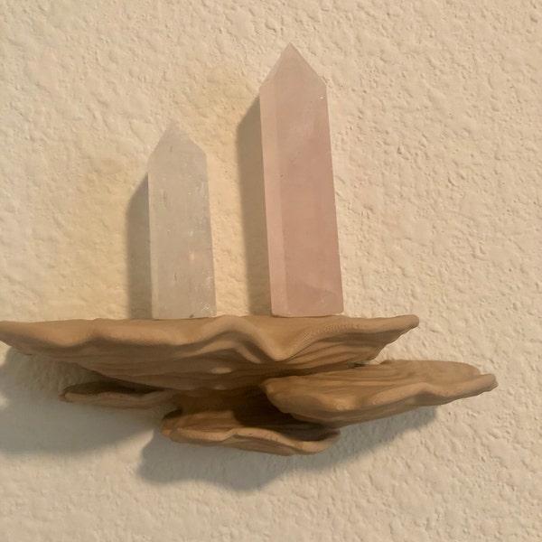 Ostrea Fungus Mushroom Shelf | Floating Shelf With Unique Matte Decor ...