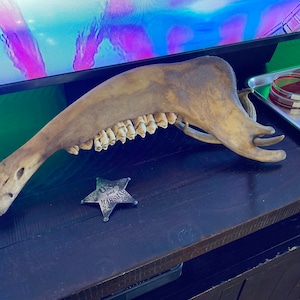 Bison Jaw Bone American Buffalo Painted White - Etsy