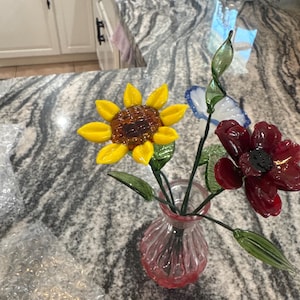 Kendall added a photo of their purchase