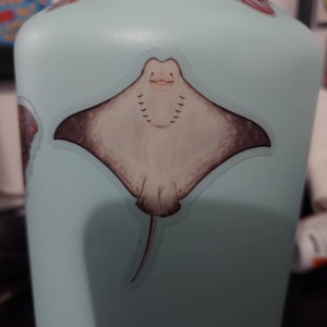 Rey a ajouté une photo de son achat