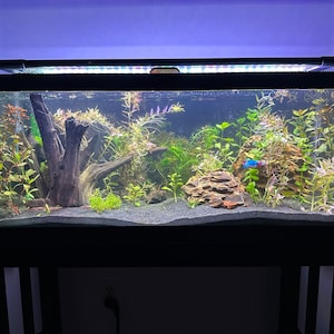 Cameron added a photo of their purchase