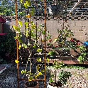 Eric added a photo of their purchase