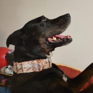 Carly ha aggiunto una foto del proprio acquisto