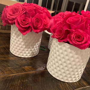Fresh Hot Pink Bulk Roses free Shipping 