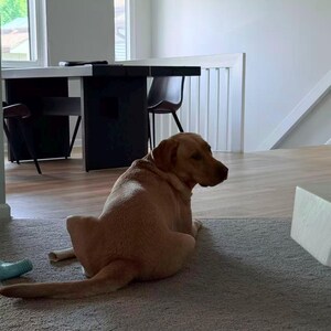 Jiajia added a photo of their purchase