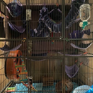 Forest 3-Piece Custom Sugar Glider Cage Set