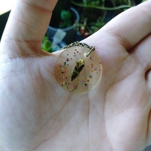 Alex ha añadido una foto de su compra