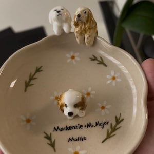 Liliana added a photo of their purchase