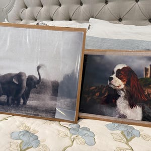 Tracy added a photo of their purchase
