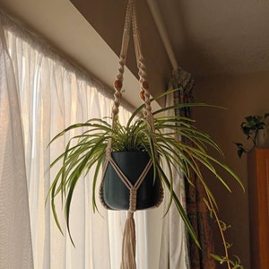 Katie added a photo of their purchase