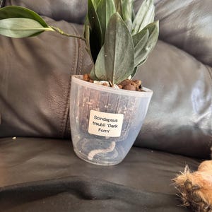 Beverly added a photo of their purchase
