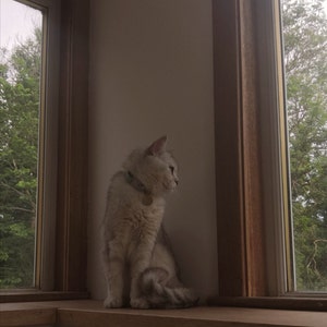 Zaiba a ajouté une photo de son achat