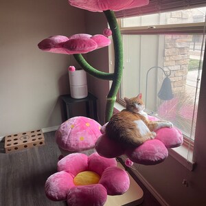 kady added a photo of their purchase