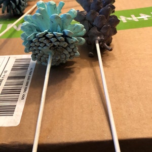 Bonnie added a photo of their purchase