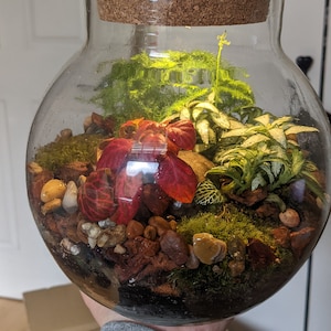 Monika a ajouté une photo de son achat