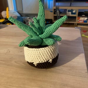 Juliette added a photo of their purchase