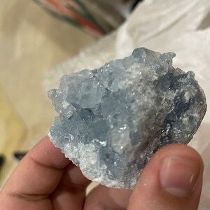 Kelly added a photo of their purchase