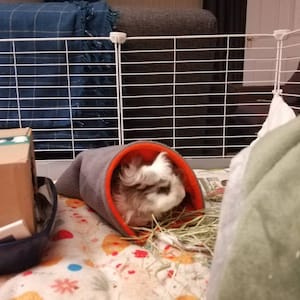 Phoebe added a photo of their purchase
