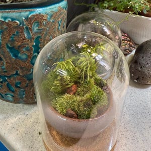 Ed hat ein Foto des gekauften Artikels hinzugefügt