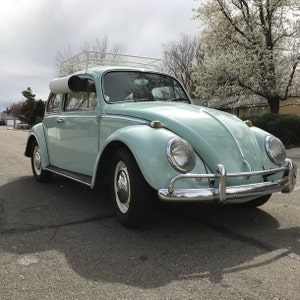 iap_300x300.1497195798_huq3cfdh.jpg?vers