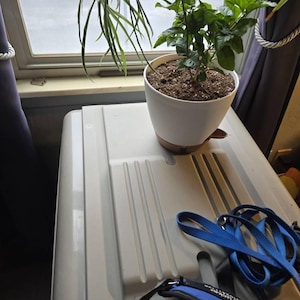 Janet added a photo of their purchase