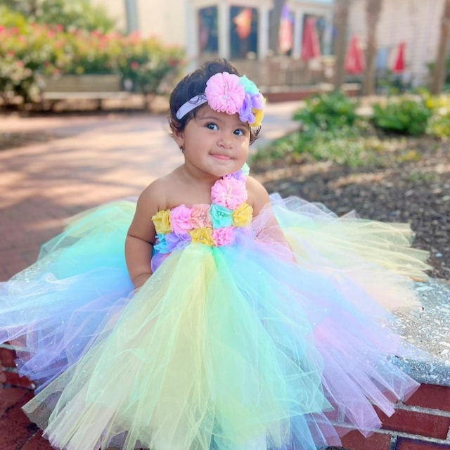 Pastel Rainbow Tutu, Bebé Tutu, Bebé Tutu, Niño Tutu, Niñas Tutu, Primer  Cumpleaños Tutu, Pastel Tutu, Smash Cake Photo Shoot Esponjoso Tutu -   México