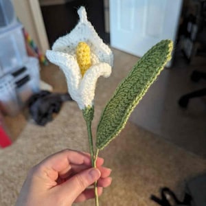 Nancy added a photo of their purchase