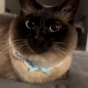 Angela ha añadido una foto de su compra