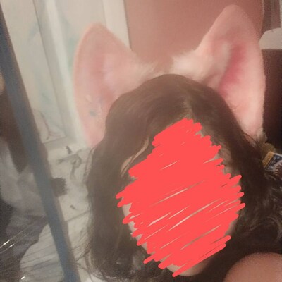 Devil Bat Ears