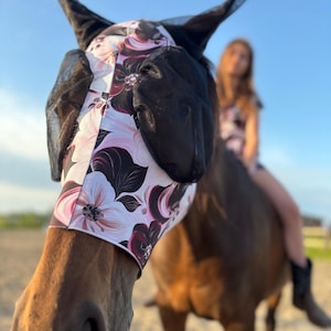Kim added a photo of their purchase