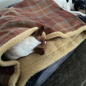 Brenda added a photo of their purchase