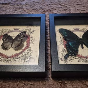 Arriana added a photo of their purchase