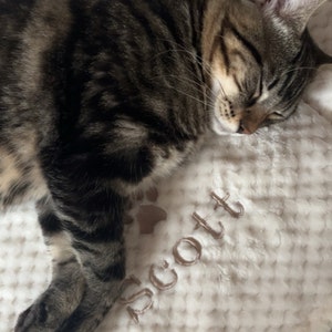 Eloïse added a photo of their purchase