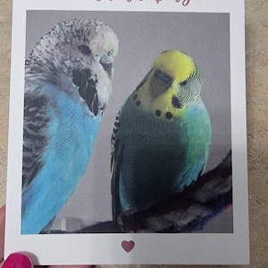 neena added a photo of their purchase
