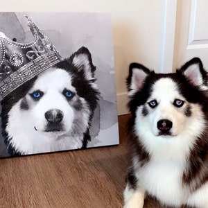 amy added a photo of their purchase