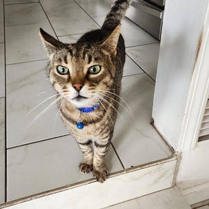 Mack heeft een foto van de aankoop toegevoegd